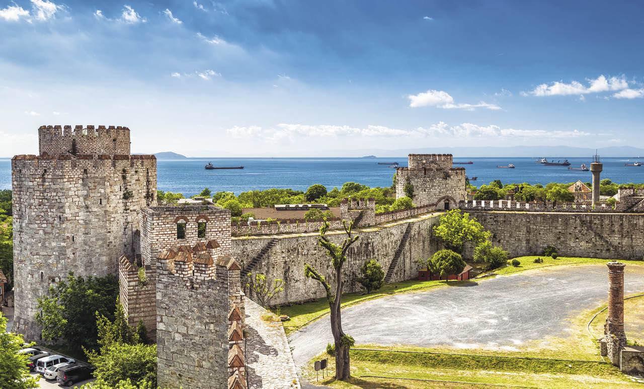SOKAK HAYVANLARI YARARINA KAZLIÇEŞME YEDİKULE BALIKLI AYAZMA